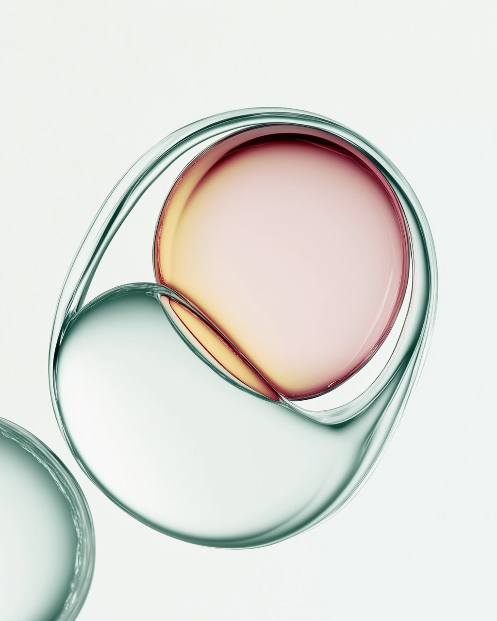 HUID & WETENSCHAP — LONGREAD